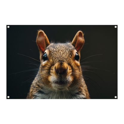 Intiem portret van een eekhoorn in detail tuinposter
