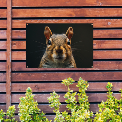 Intiem portret van een eekhoorn in detail tuinposter