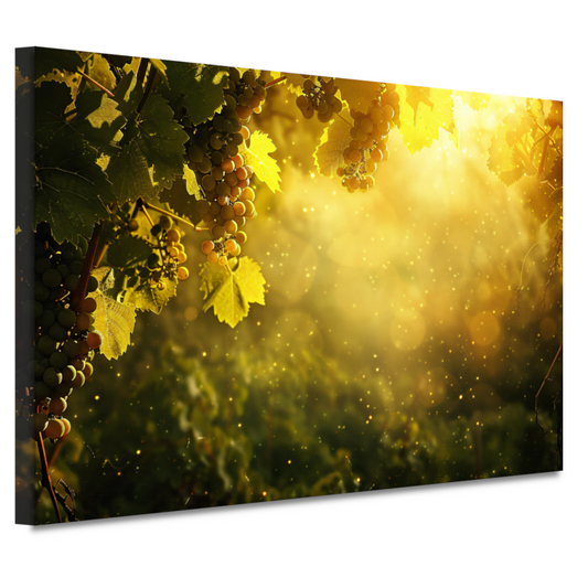 Gouden lichtval over wijngaard bij zonsondergang canvas