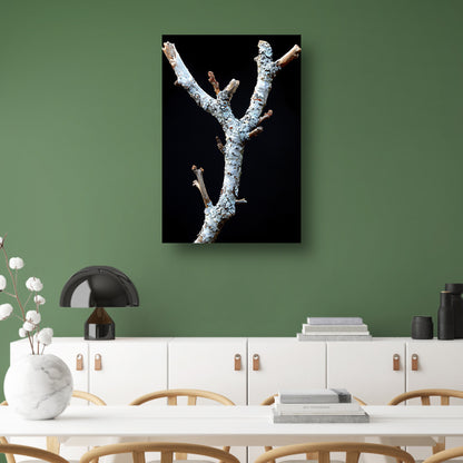 Zwart-wit foto van tak met korstmos canvas