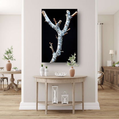 Zwart-wit foto van tak met korstmos canvas