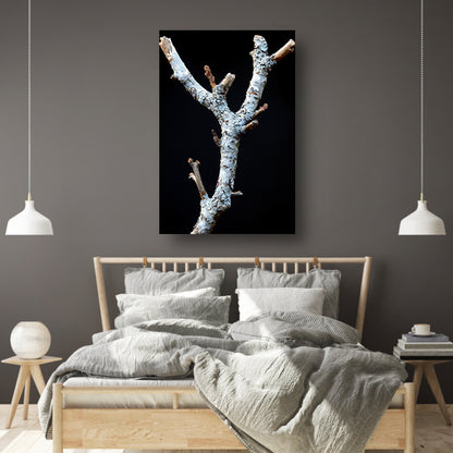 Zwart-wit foto van tak met korstmos canvas