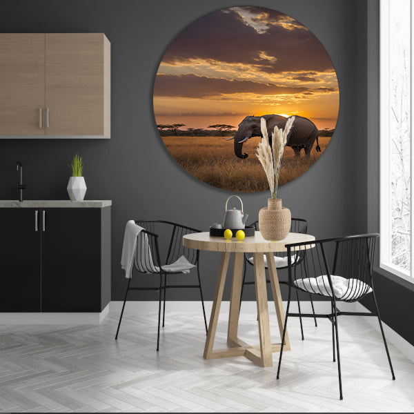 Majestueuze olifant bij Afrikaanse zonsondergang aluminium muurcirkel