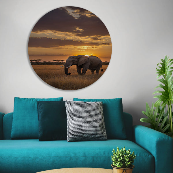 Majestueuze olifant bij Afrikaanse zonsondergang aluminium muurcirkel