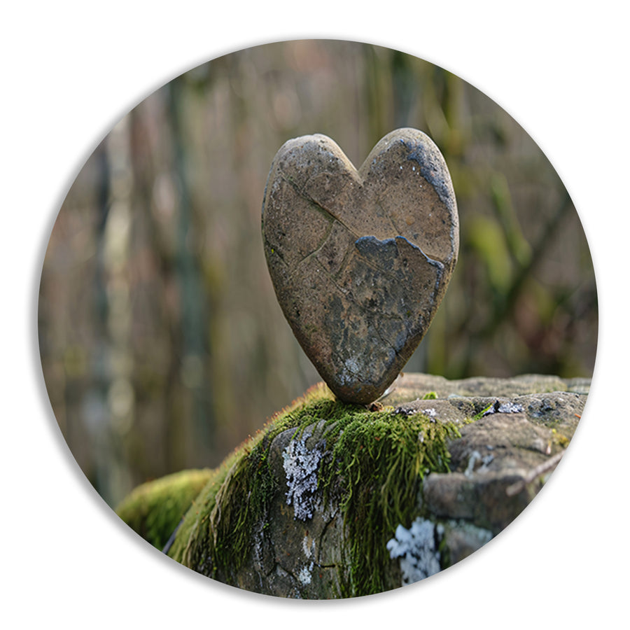 Hartvormige steen op bed van mos forex muurcirkel