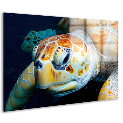 Impressionistisch zeegezicht met zonsondergang acrylglas