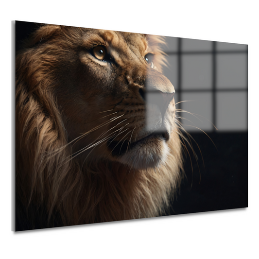 Gouden Blik van de Koning der Dieren acrylglas