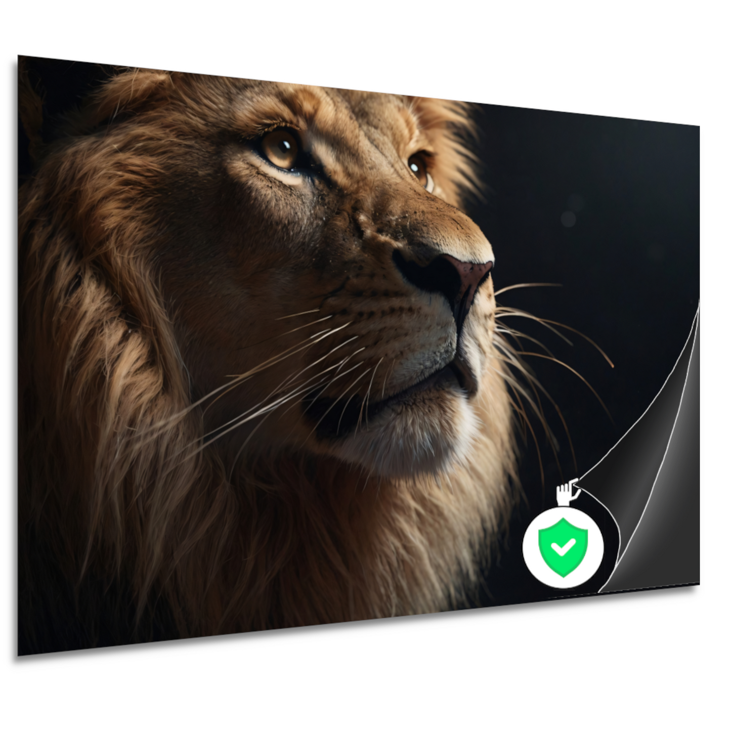 Gouden Blik van de Koning der Dieren poster
