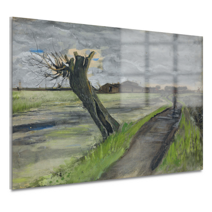 Knotwilg - Vincent van Gogh acrylglas