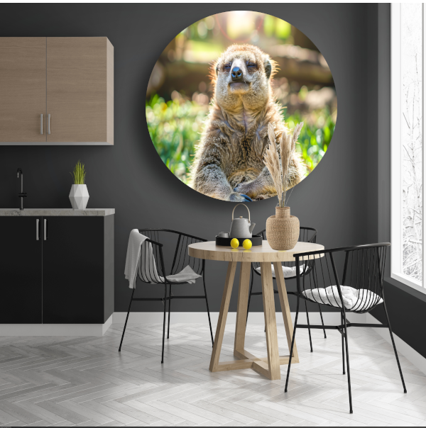 Luiaard genietend van zon in natuur aluminium muurcirkel