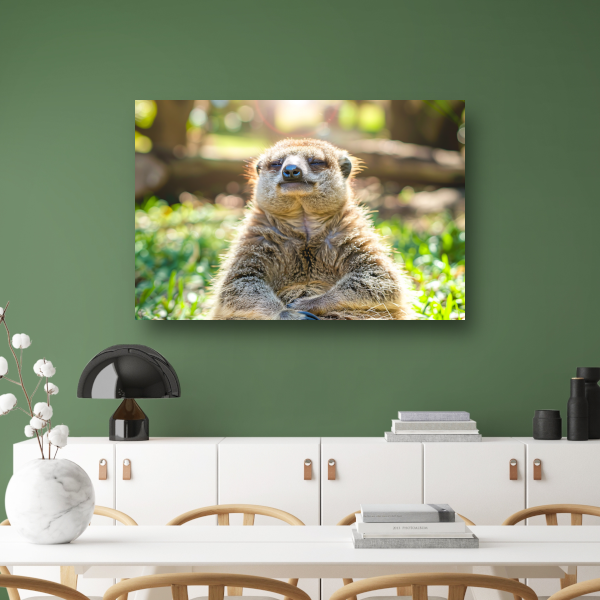 Luiaard genietend van zon in natuur canvas