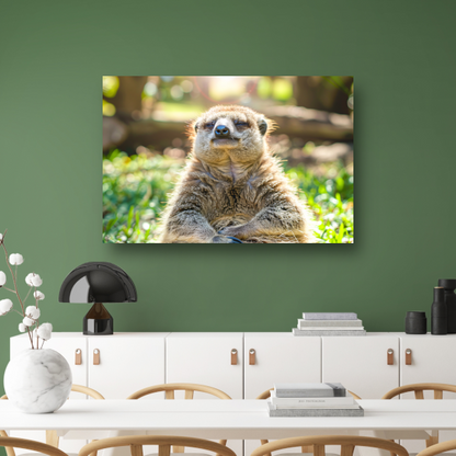Luiaard genietend van zon in natuur canvas