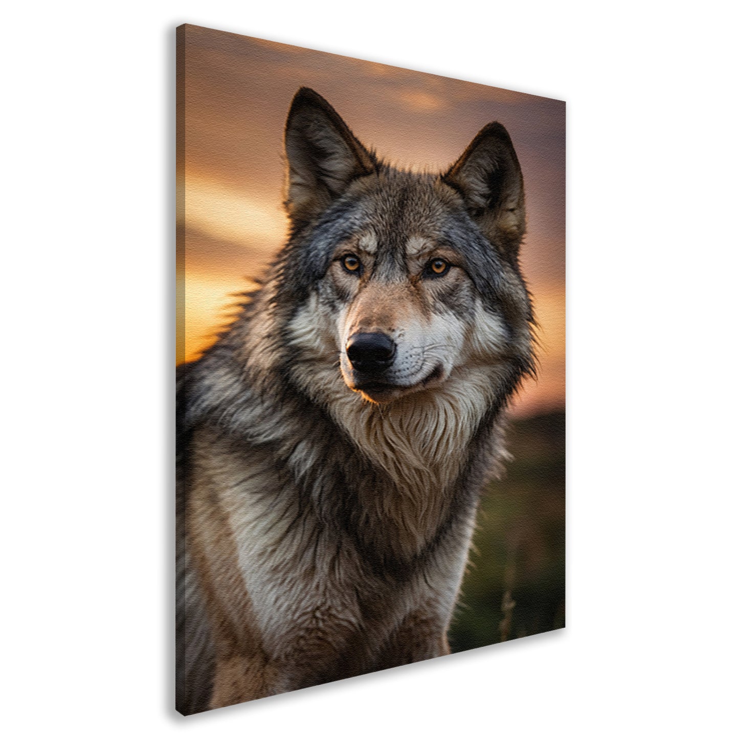 Prachtig wolfportret tijdens zonsondergang canvas