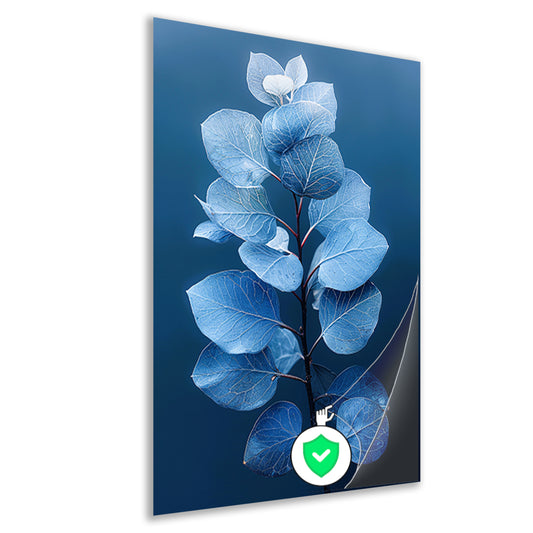 Blauwe eucalyptusbladeren tegen een zwarte achtergrond poster