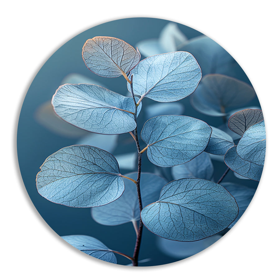 Blauwe eucalyptusbladeren in minimalistisch realisme aluminium muurcirkel