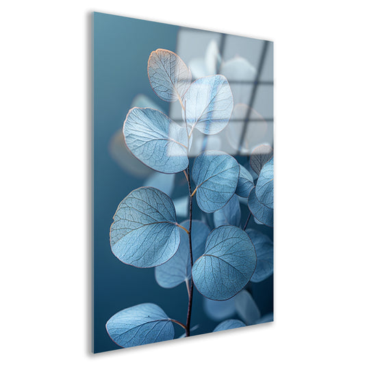 Blauwe eucalyptusbladeren in minimalistisch realisme acrylglas