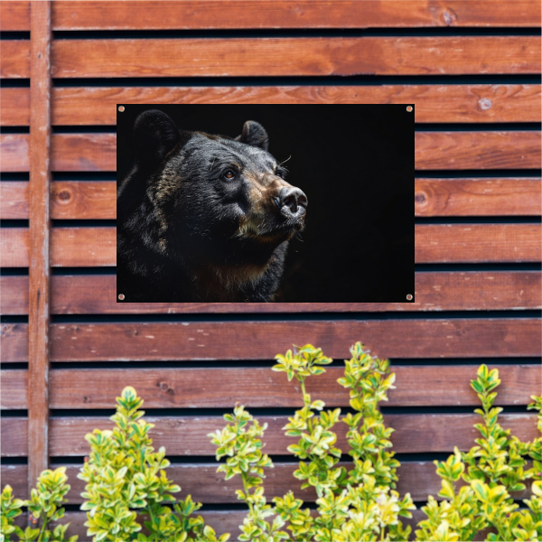 Berenportret in Contrastrijk Zwart-wit tuinposter