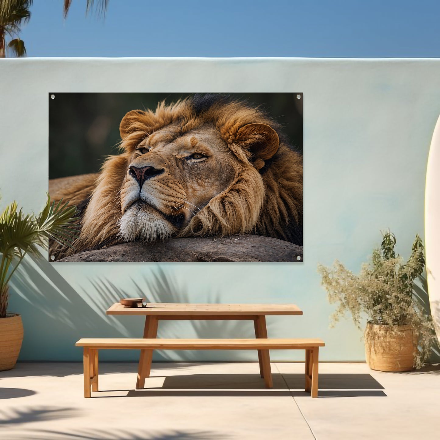 Majestueuze leeuw slapend op een steen tuinposter