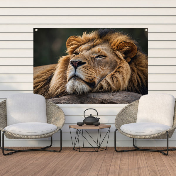 Majestueuze leeuw slapend op een steen tuinposter
