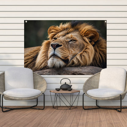 Majestueuze leeuw slapend op een steen tuinposter