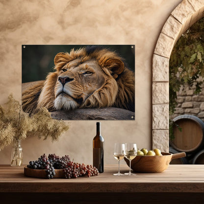 Majestueuze leeuw slapend op een steen tuinposter
