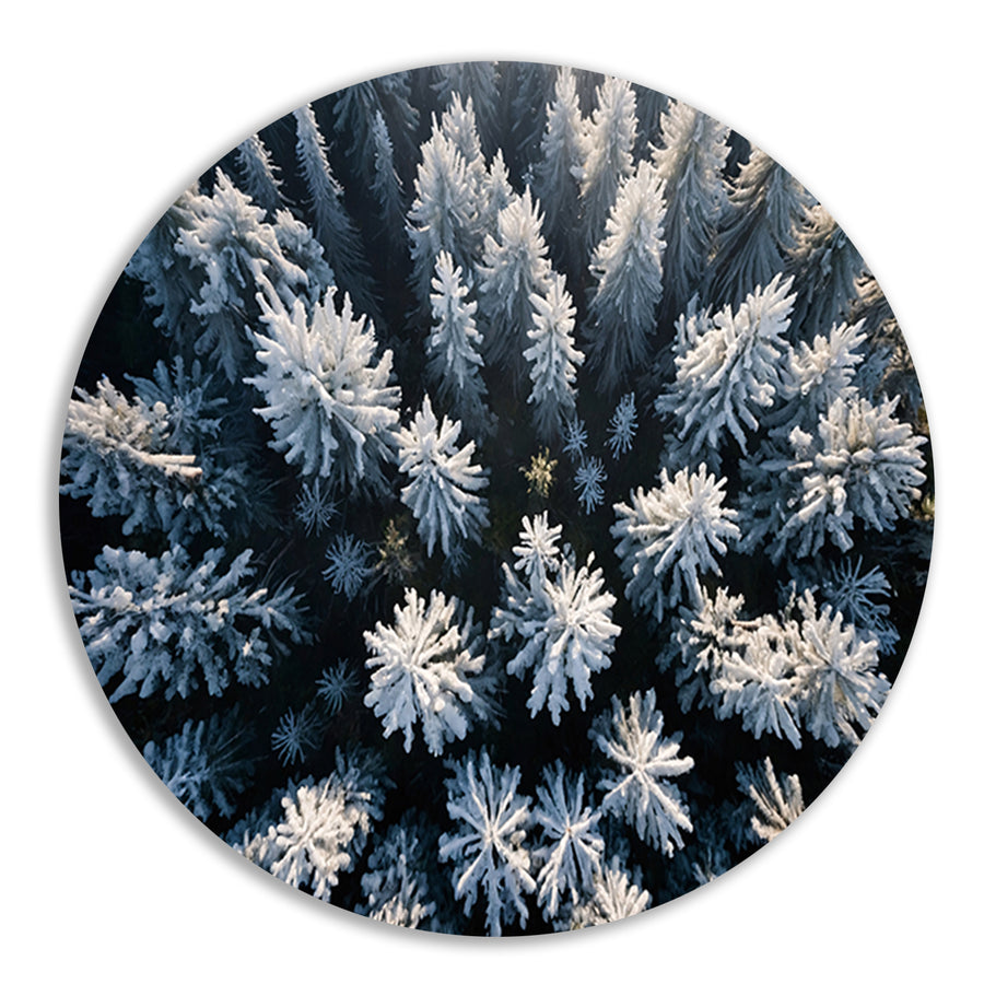 Besneeuwde bomen in winterse boslandschap aluminium muurcirkel
