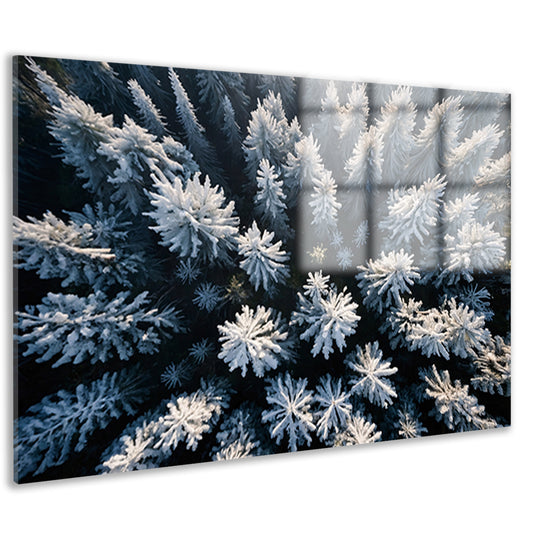 Besneeuwde bomen in winterse boslandschap acrylglas