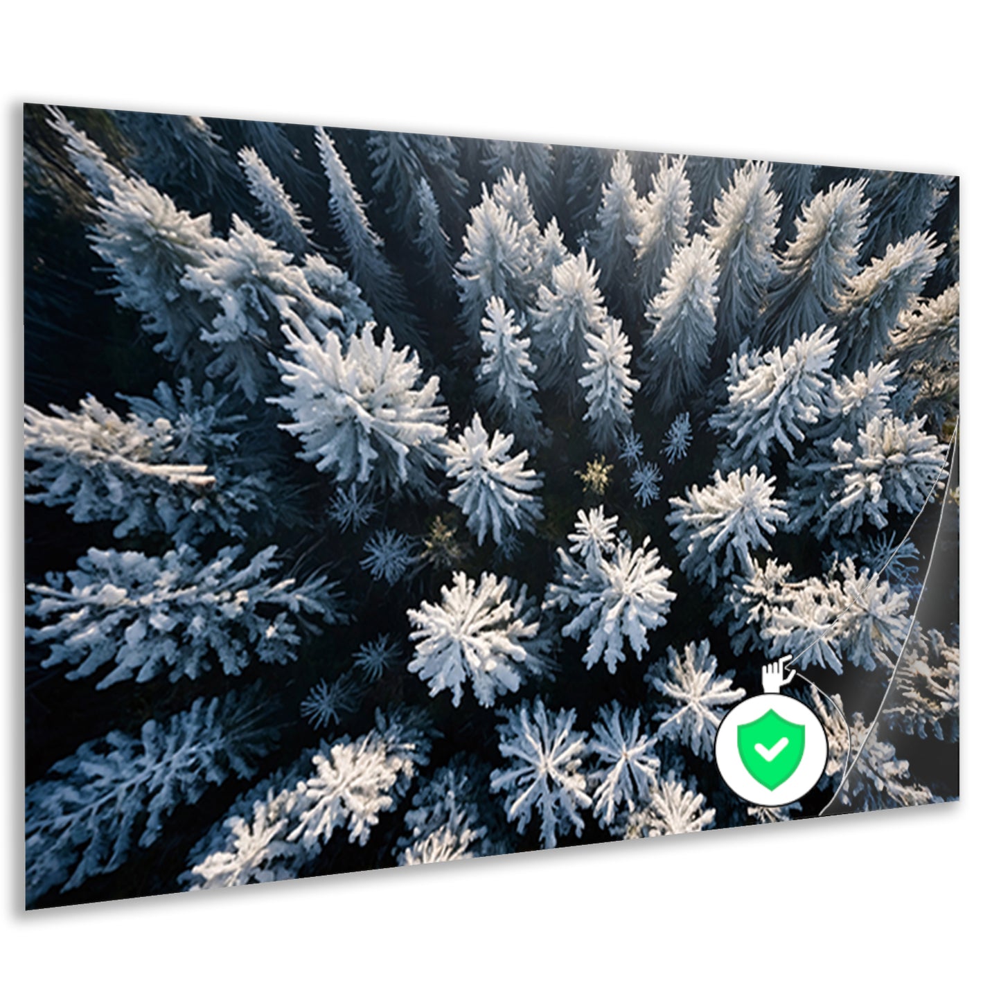 Besneeuwde bomen in winterse boslandschap poster