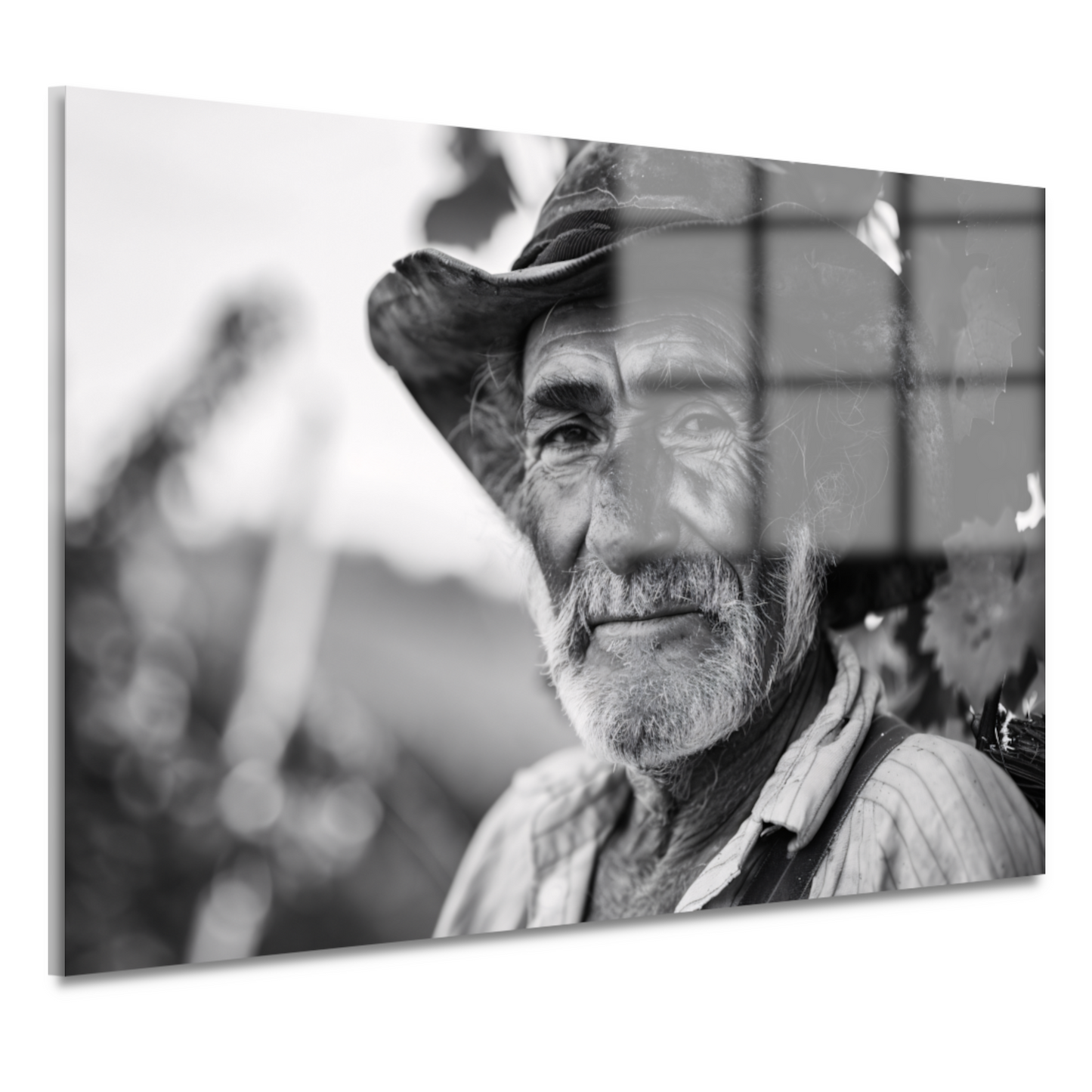 Levenstekening van een oude wijnboer acrylglas