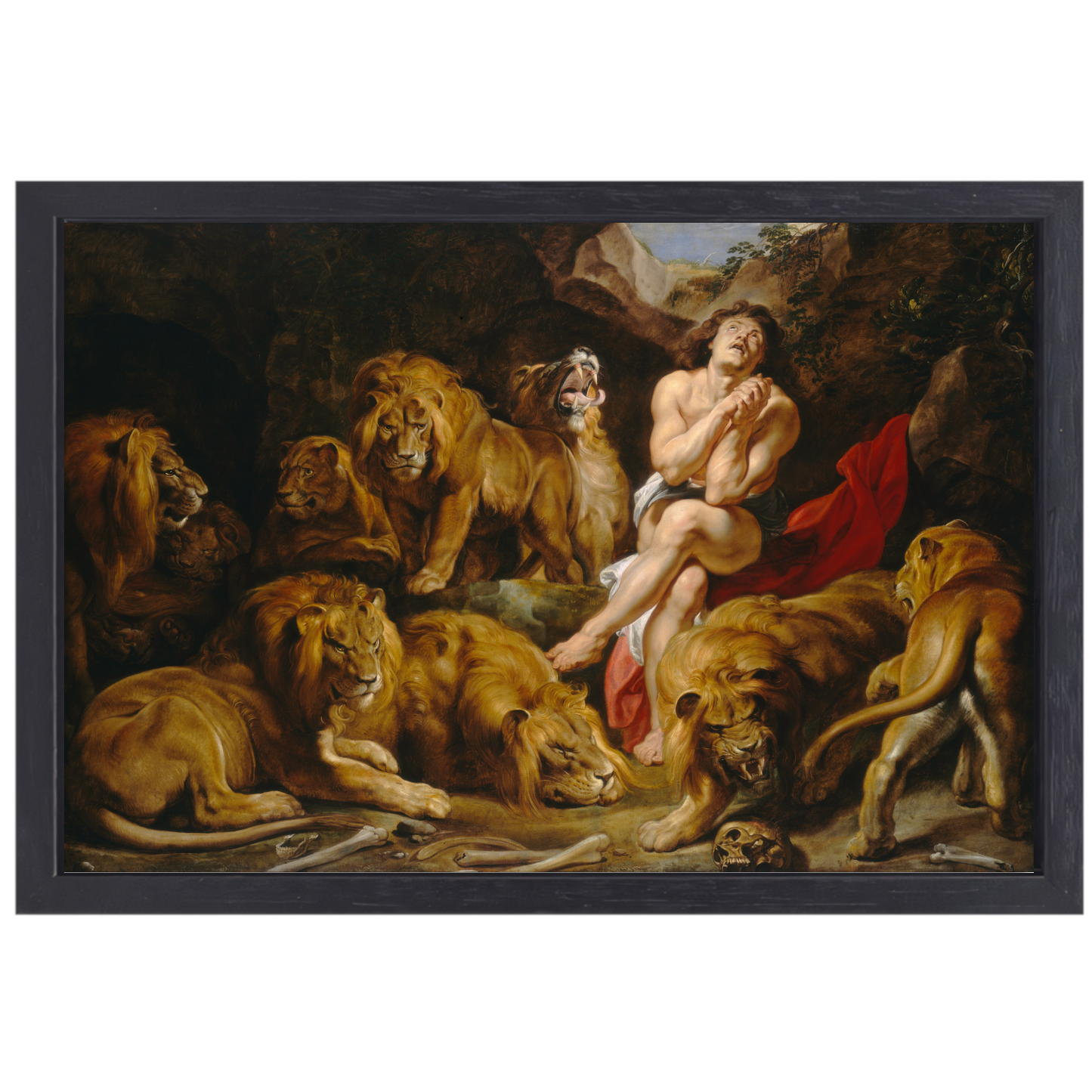 Daniël in de leeuwenkuil - Peter Paul Rubens canvas met baklijst