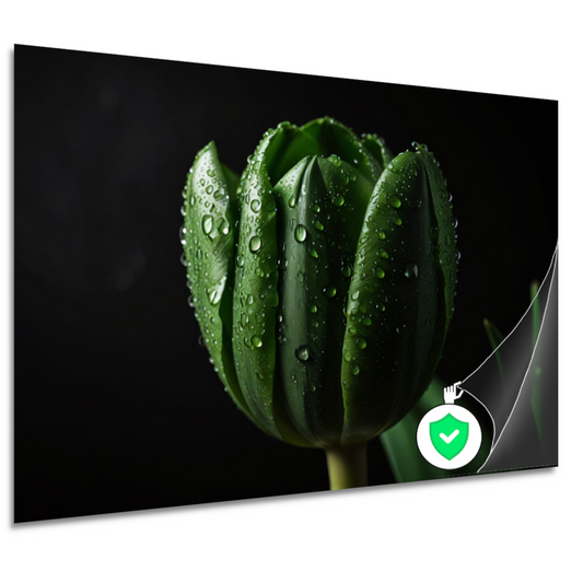 Donkergroene Tulp met Dauw op Zwart poster