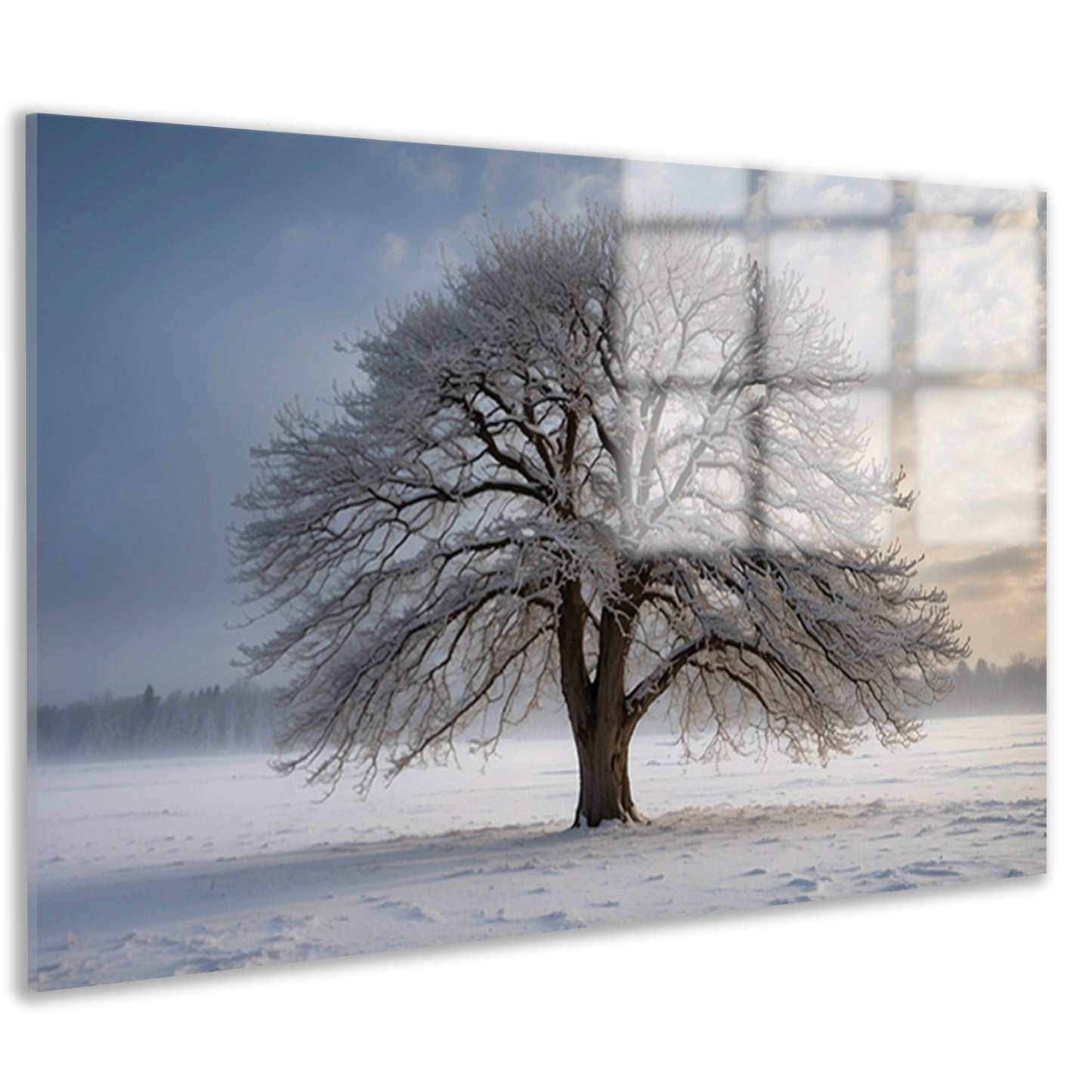 Winterboom in besneeuwd landschap bij zonsondergang acrylglas