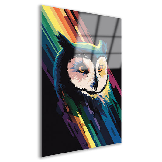 Kleurrijke abstracte uil kunst print acrylglas