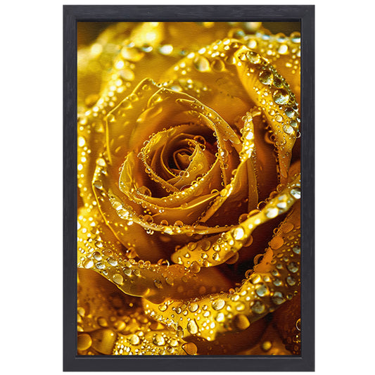Gouden roos met schitterende waterdruppels in detail canvas met baklijst