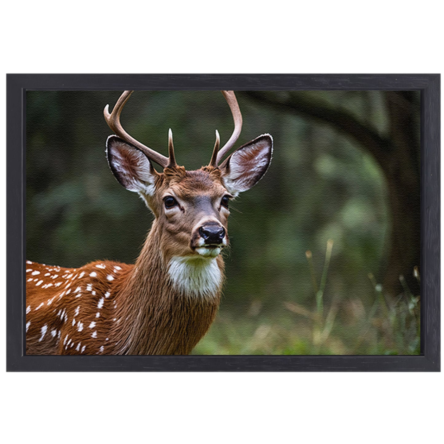 Majestueus hert in weelderig bos canvas met baklijst