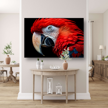Hyperrealistische Rode Papegaai op Zwarte Achtergrond canvas met baklijst