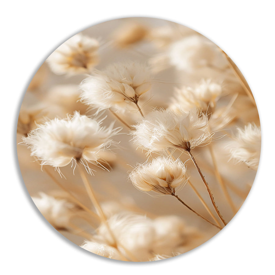 Pluizige Witte Bloemen op Stengels forex muurcirkel