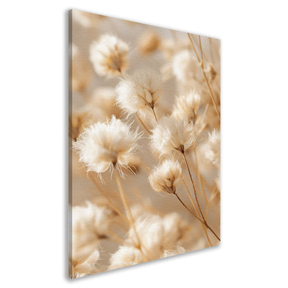 Pluizige Witte Bloemen op Stengels canvas