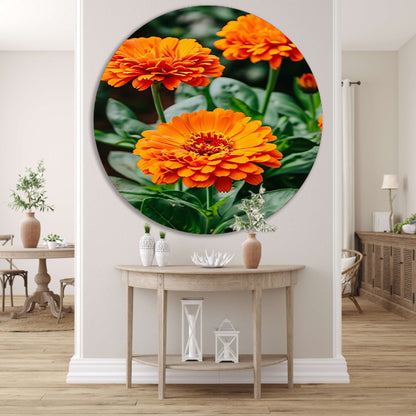 Oranje bloemen in bloei aluminium muurcirkel