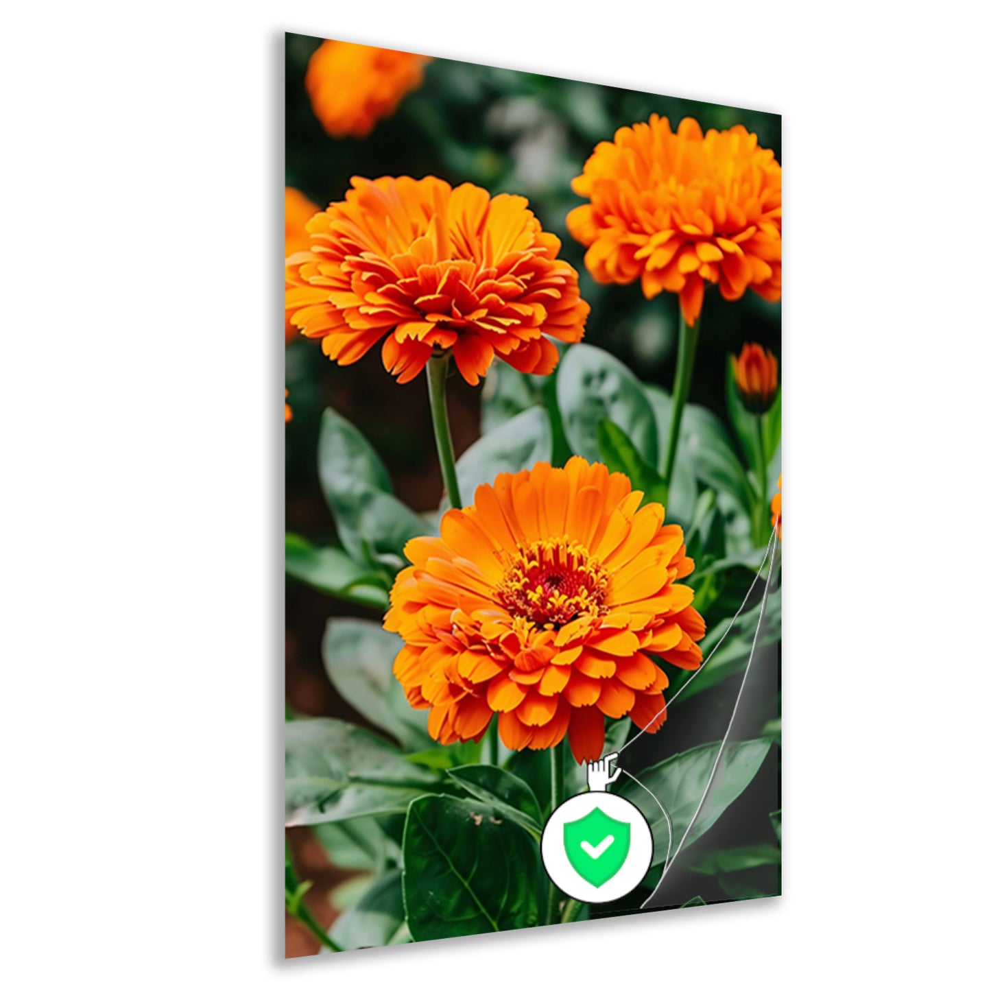 Oranje bloemen in bloei poster