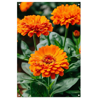 Oranje bloemen in bloei tuinposter
