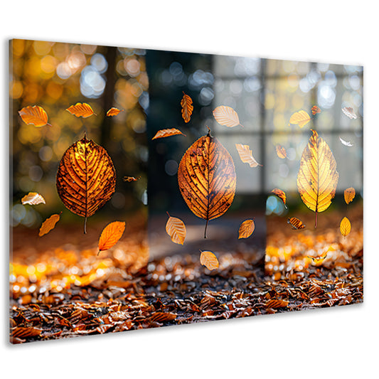 Herfstbladeren dansend in zacht licht acrylglas