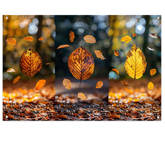 Herfstbladeren dansend in zacht licht tuinposter