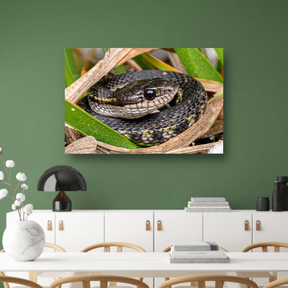 Slang verscholen tussen groene bladeren canvas