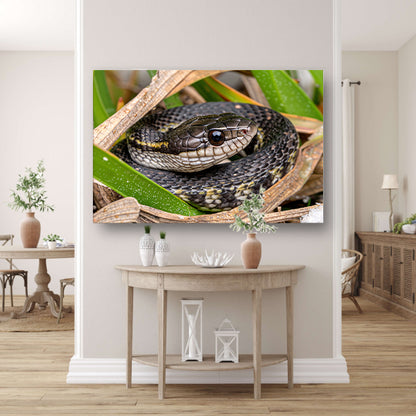 Slang verscholen tussen groene bladeren canvas