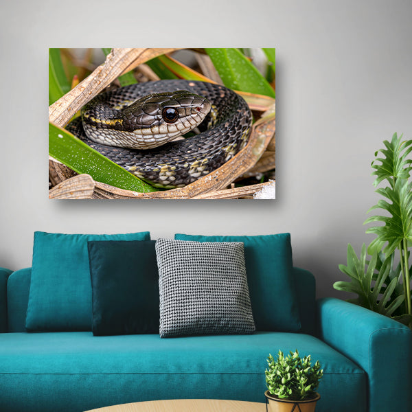 Slang verscholen tussen groene bladeren canvas