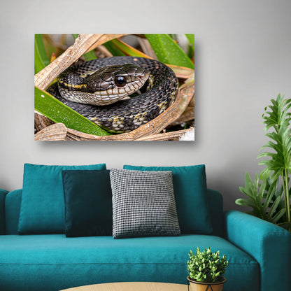 Slang verscholen tussen groene bladeren canvas