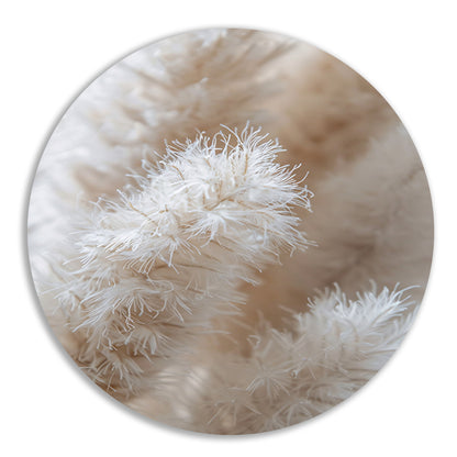 Close-up van Witte Pluimen forex muurcirkel