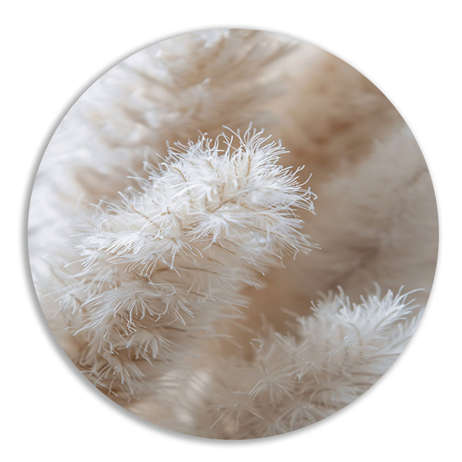 Close-up van Witte Pluimen aluminium muurcirkel