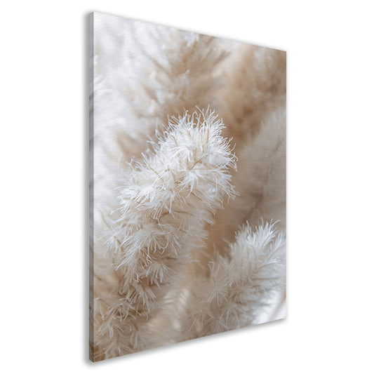 Close-up van Witte Pluimen canvas